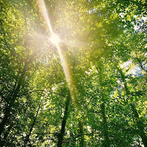 Meet your Posher, Cheyenne